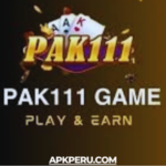 Pak111 Casino APK