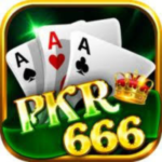 pkr666 Game